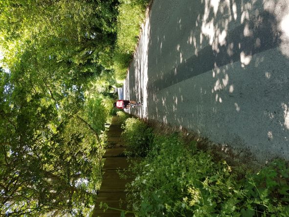 Cyclist on Longage Hill