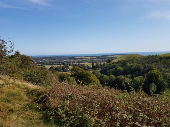 View from Tolsford Hill