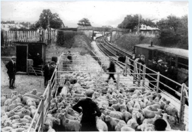 Market Halt c1920