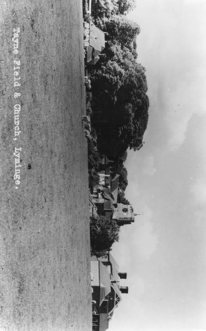 Sheep on Tayne Field c1960