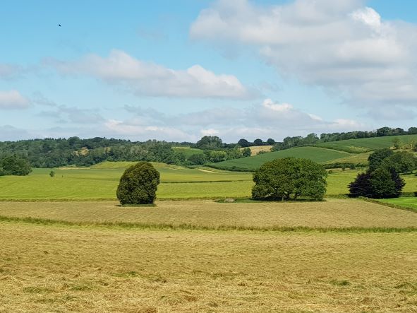 Longage Hill and Lyminge Forest